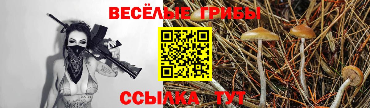 Галлюциногенные грибы Cubensis Димитровград